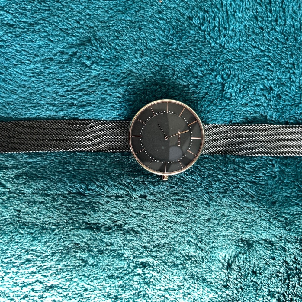 Skagen Watch.    ON SALE